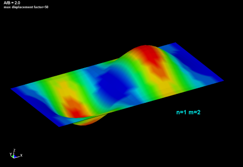 elastic stability