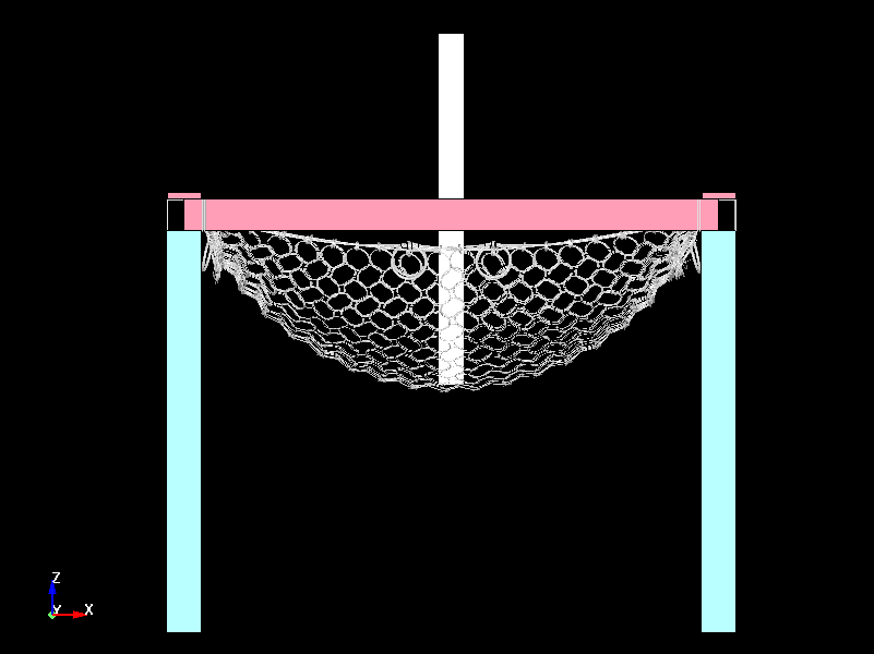  Deformed Ring Nets