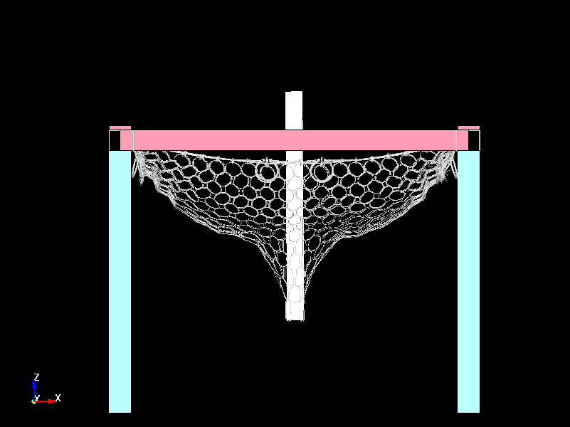  Deformed Ring Nets